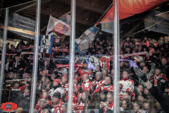 01.02.2025 | EC Bad Nauheim vs. SB Rosenheim