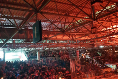 01.11.2019 | Löwen Frankfurt vs. EC Bad Nauheim
