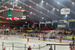 01.12.2023 | VER Selb vs. EC Bad Nauheim