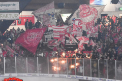 03.11.2019 | EC Bad Nauheim vs. ETC Crimmitschau
