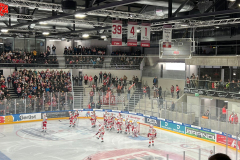 05.11.2021 | EV Landshut vs. EC Bad Nauheim