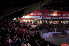 08.12.2023 | EC Bad Nauheim vs. EV Landshut