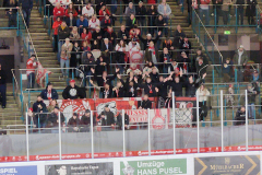 11.02.2024 | EV Regensburg vs. EC Bad Nauheim