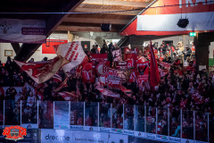 14.01.2024 | EC Bad Nauheim vs. VER Selb