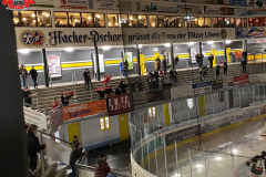 15.10.2021 | EC Bad Tölz vs. EC Bad Nauheim