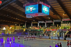 17.01.2023 | VER Selb vs. EC Bad Nauheim