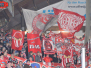 17.02.2019 | EC Bad Nauheim vs. SC Bietigheim Steelers