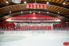 17.09.2023 | EC Bad Nauheim vs. ESC Dresden