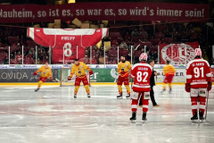 20.02.2024 | EC Bad Nauheim vs. ESV Kaufbeuren