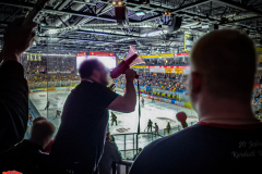 20.09.2024 | Krefelder EV vs. EC Bad Nauheim