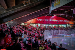 22.09.2024 | EC Bad Nauheim vs. EV Weiden