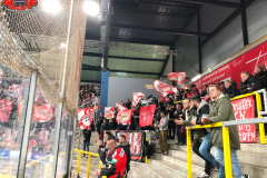 22.12.2019 | EV Landshut vs. EC Bad Nauheim 