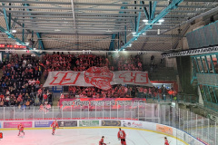 24.11.2023 | EV Regensburg vs. EC Bad Nauheim
