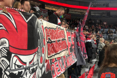 25.02.2020 | Kölner EC - EHC Wolfsburg