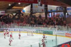 27.02.2023 | EC Bad Nauheim vs. VER Selb