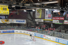 29.01.2023 | EHC Bayreuth vs. EC Bad Nauheim