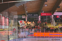 29.11.2024 | VER Selb vs. EC Bad Nauheim