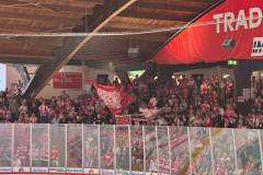 31.08.2025 | Testspiel | EC Bad Nauheim vs. SC Bietigheim