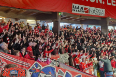 01.03.2026 | EC Bad Nauheim vs. EV Regensburg