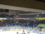 05.01.2018 | Dresden vs. Bad Nauheim