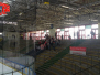 08.03.2015 | Jugend *FM vs RTBN