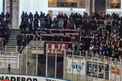 19.10.2025 | ES Weisswasser vs. EC Bad Nauheim