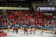 23.11.2025 | EV Landshut vs. EC Bad Nauheim