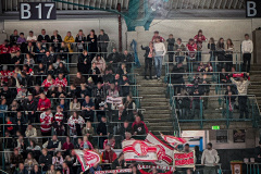 27.09.2024 | EV Regensburg vs. EC Bad Nauheim