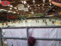 2019-08-30 in Bayreuth
